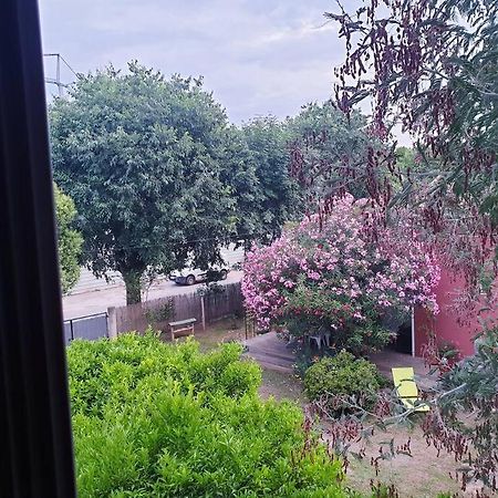 Penta di Casinca Maison Centre-Ville מראה חיצוני תמונה