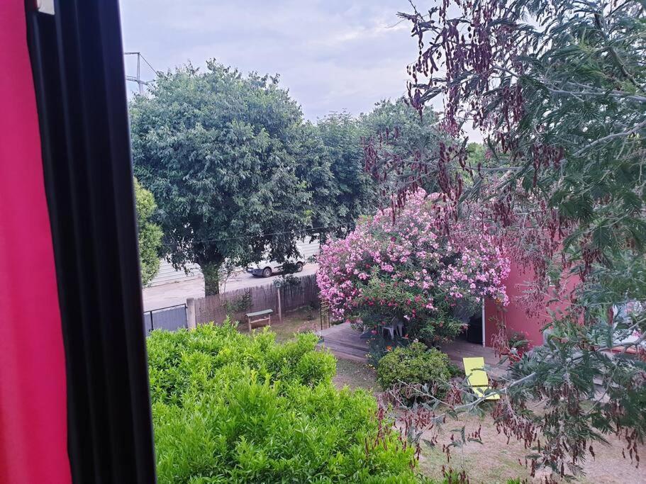 Penta di Casinca Maison Centre-Ville מראה חיצוני תמונה