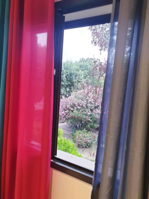 Penta di Casinca Maison Centre-Ville מראה חיצוני תמונה